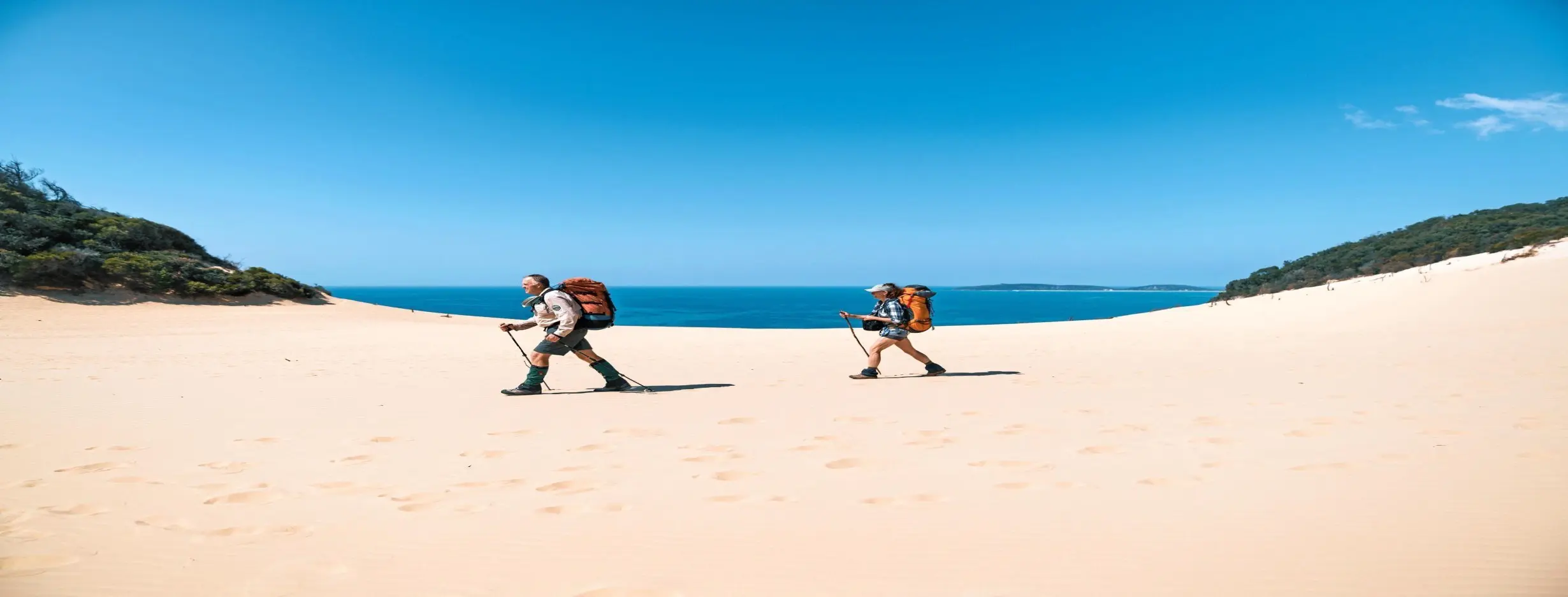 Image for Tropic Trek